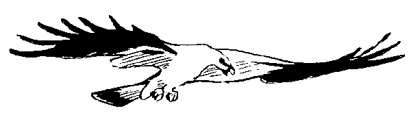 Окаменевшие волки - i_011.png