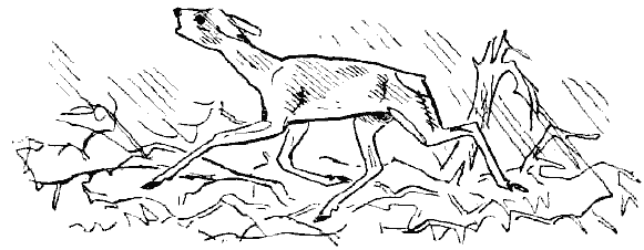 Окаменевшие волки - i_013.png