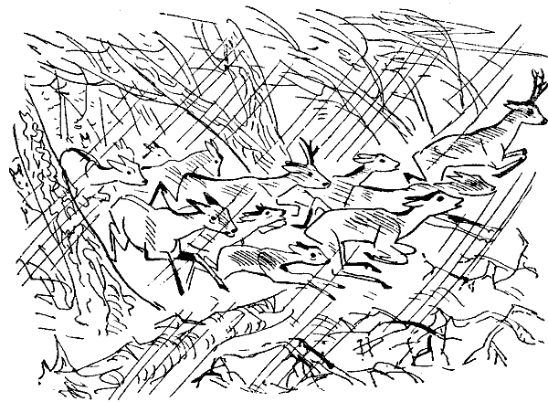 Окаменевшие волки - i_014.png