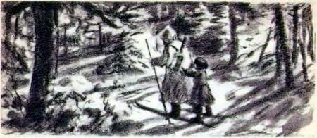 Лесная избушка - i_002.jpg