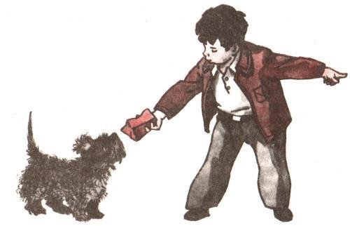 Тайные шефы - img_21.jpg