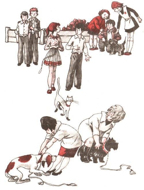 Тайные шефы - img_25.jpg