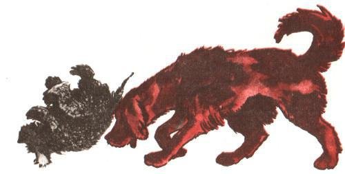 Тайные шефы - img_29.jpg