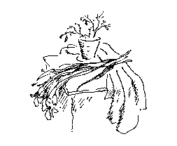 Бег на трех ногах - img17.png