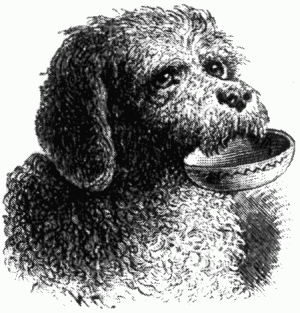 Знаменитые собаки - i_007.png