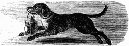 Знаменитые собаки - i_008.png