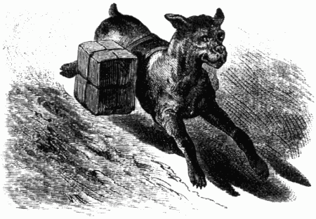 Знаменитые собаки - i_009.png