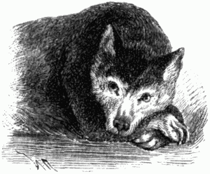 Знаменитые собаки - i_015.png