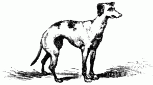 Знаменитые собаки - i_016.png