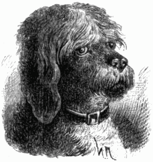 Знаменитые собаки - i_033.png