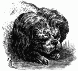 Знаменитые собаки - i_036.png