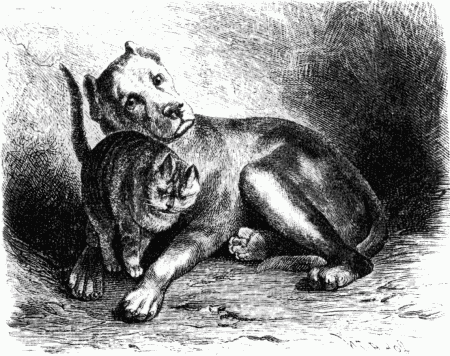 Знаменитые собаки - i_040.png