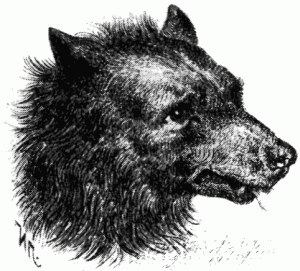 Знаменитые собаки - i_043.png