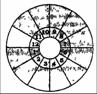 Том 3. Домология - i_039.jpg