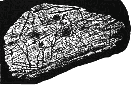 Сказки и легенды - any2fbimgloader13.png