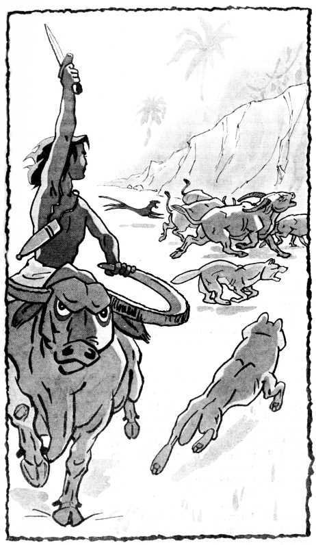 Маугли - i_009.jpg