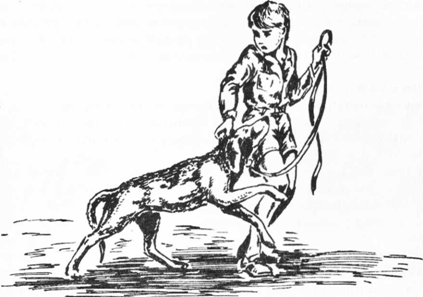 Ребенок без проблем! Решебник для родителей - image0087.png