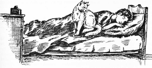 Ребенок без проблем! Решебник для родителей - image0088.png