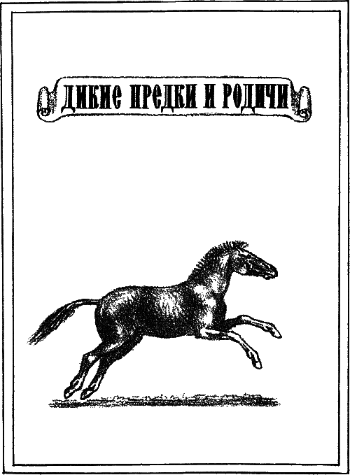 На коне — через века - i_003.png
