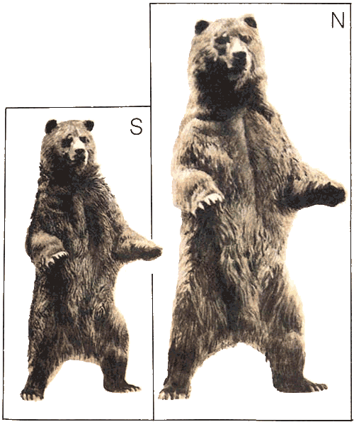 Невидимые нити природы - i_004.png