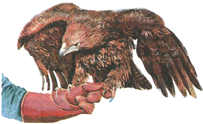 Невидимые нити природы - i_023.png