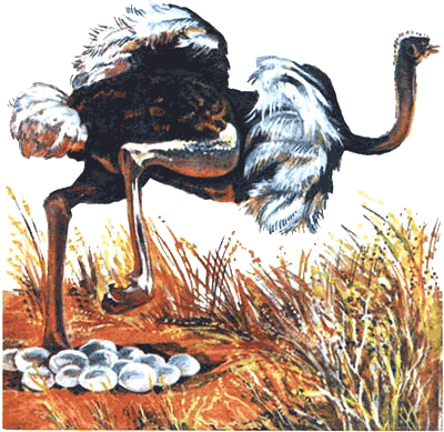 Невидимые нити природы - i_040.png