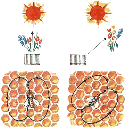 Невидимые нити природы - i_049.png