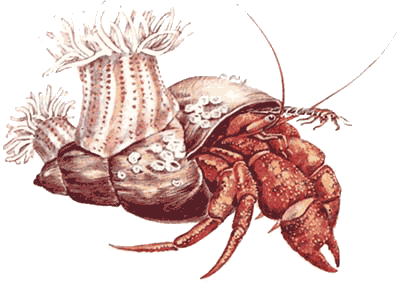 Невидимые нити природы - i_056.png