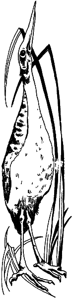 С вечера до утра - i_004.png