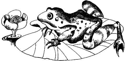 С вечера до утра - i_005.png