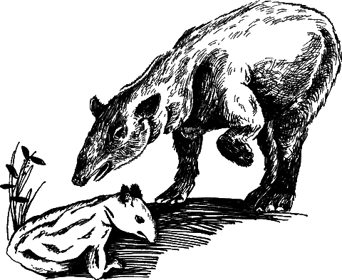 С вечера до утра - i_014.png