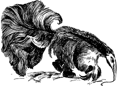 С вечера до утра - i_016.png