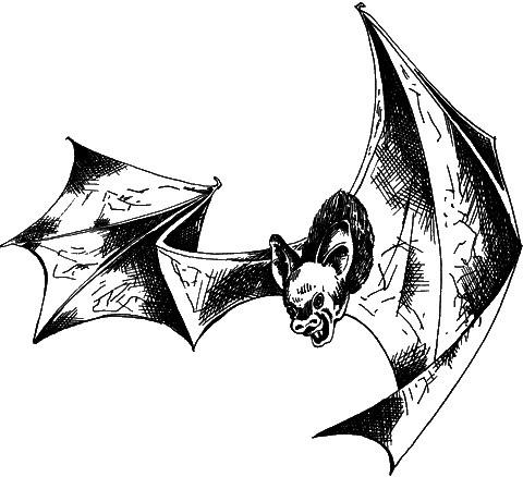 С вечера до утра - i_017.png