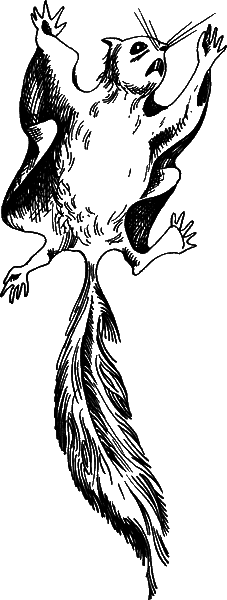 С вечера до утра - i_024.png