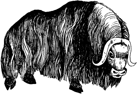 С вечера до утра - i_027.png