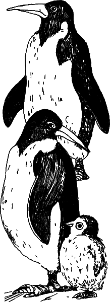 С вечера до утра - i_028.png