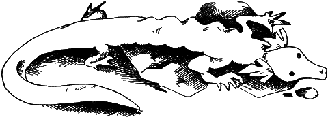 С вечера до утра - i_032.png