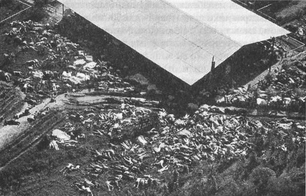 Знаменитые убийцы и жертвы - _39.jpg