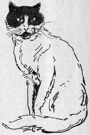 Летающее счастье - pic_4.jpg