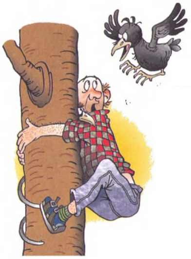 Случай со степанидом - i_011.jpg