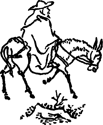 Двенадцать башен - img_3.png