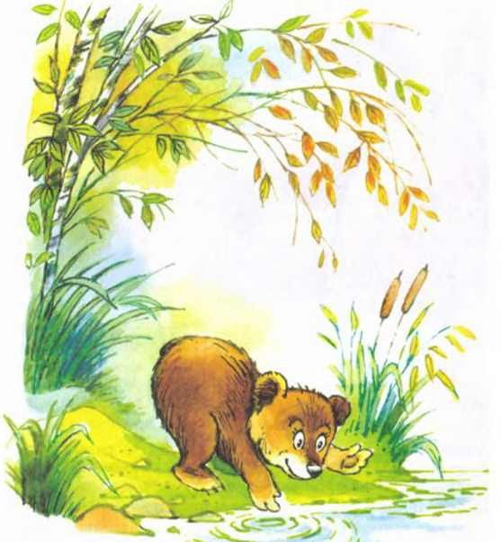 Пять забавных медвежат - i_015.jpg