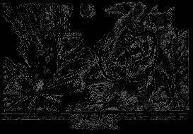 Долгое эхо - _11.jpg