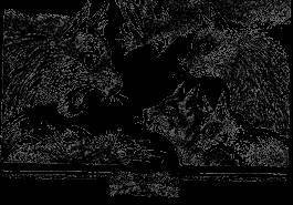 Долгое эхо - _14.jpg