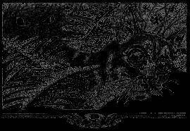 Долгое эхо - _16.jpg