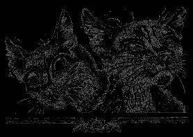 Долгое эхо - _28.jpg