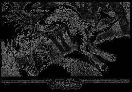 Долгое эхо - _34.jpg