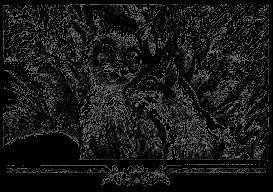 Долгое эхо - _35.jpg