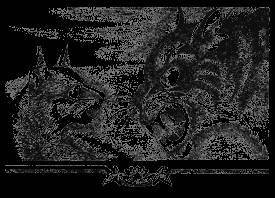 Долгое эхо - _37.jpg