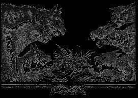 Долгое эхо - _39.jpg